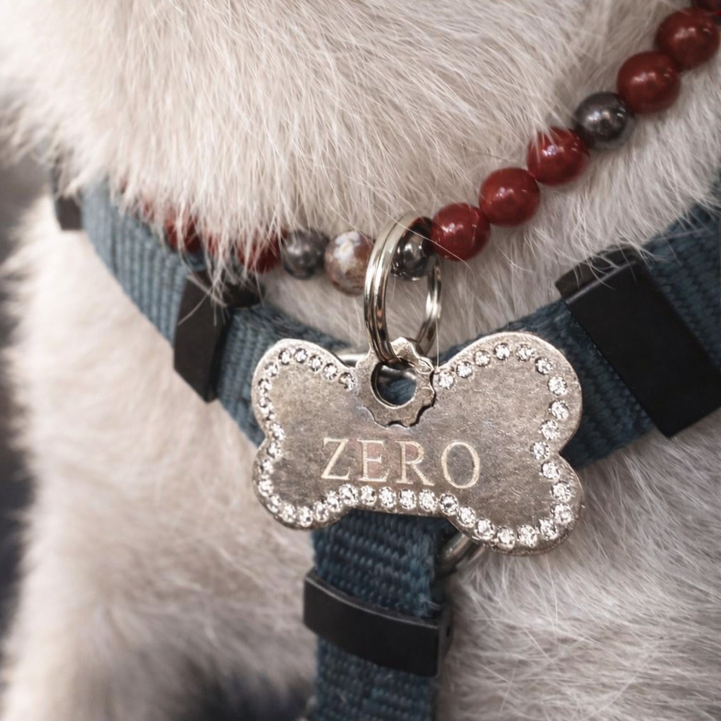 Medaglietta Pet artigianale bronzo rosso zirconi bianchi