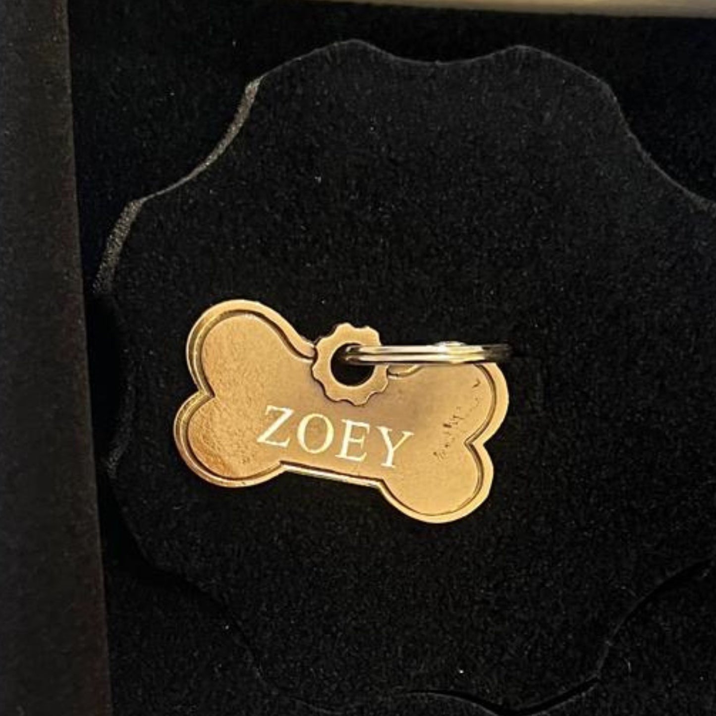 Medaglietta Pet artigianale bronzo giallo anticato